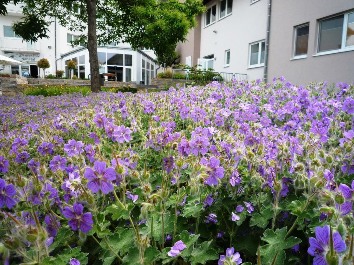 Hotel Nahetal Gensingen Exterior photo
